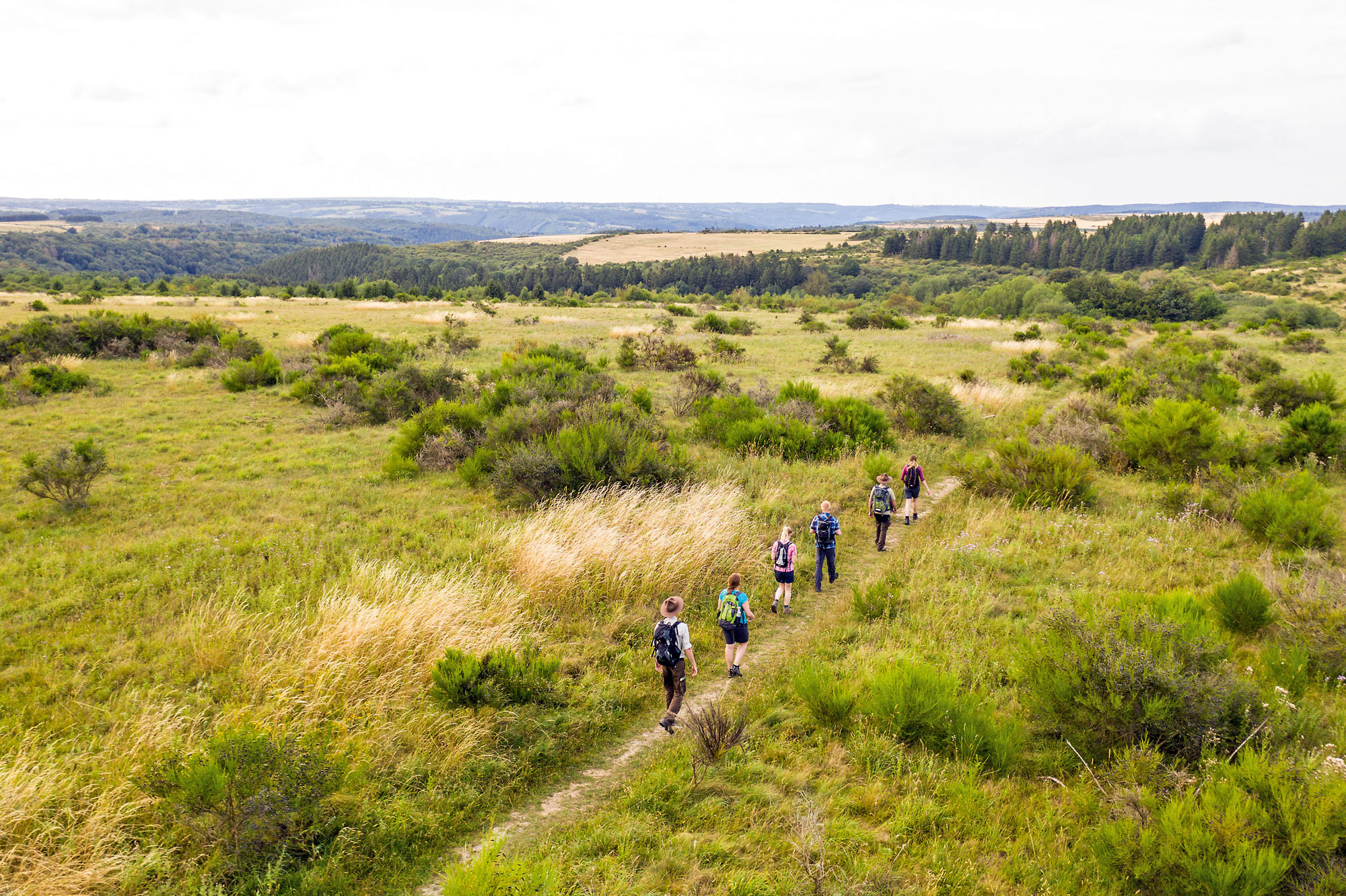 Wandergruppe in Nationalpark Eifel